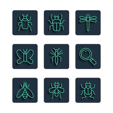 Set line Bee, Insect fly, Beetle bug, Dragonfly, Spider, Butterfly, and Stock Illustration