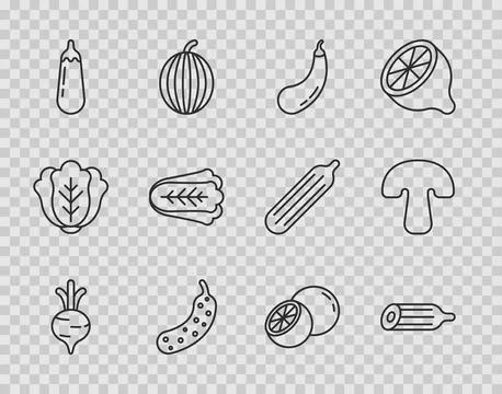 Set line Beet, Fresh cucumber, Eggplant, Cabbage, Orange fruit and Mushroom.. Stock Illustration