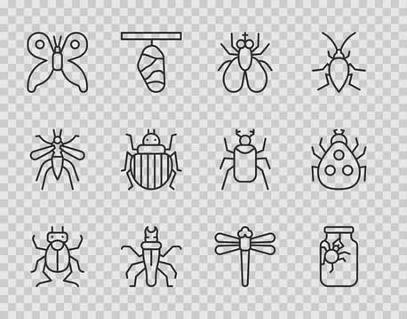 Set line Beetle bug, Spider in jar, Insect fly, Termite, Butterfly, Colorad.. Illustrazione stock