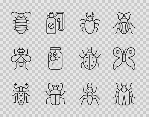 Set line Beetle deer, bug, Stink, Larva insect, Spider jar, Ant and Butterfly Illustration