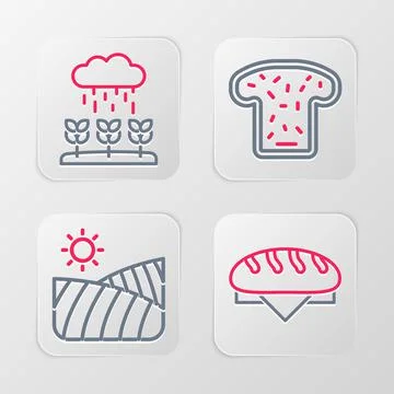 Set line Bread loaf, Agriculture wheat field, toast and Plant sprouts grow in Stock Illustration