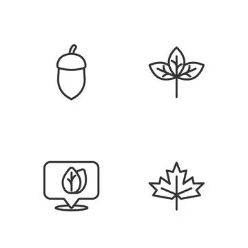 Set line Canadian maple leaf, Location with, Acorn and Leaf icon. Vector Stock Illustration