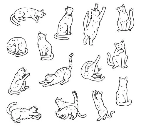 Set of line cats in different poses. Not pedigreed pets outline doodle black Stock Illustration