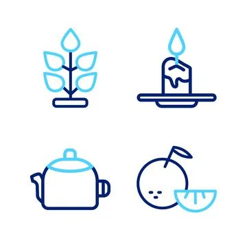 Set line Citrus fruit, Kettle with handle, Aroma candle and Plant icon. Vecto Illustrazione stock