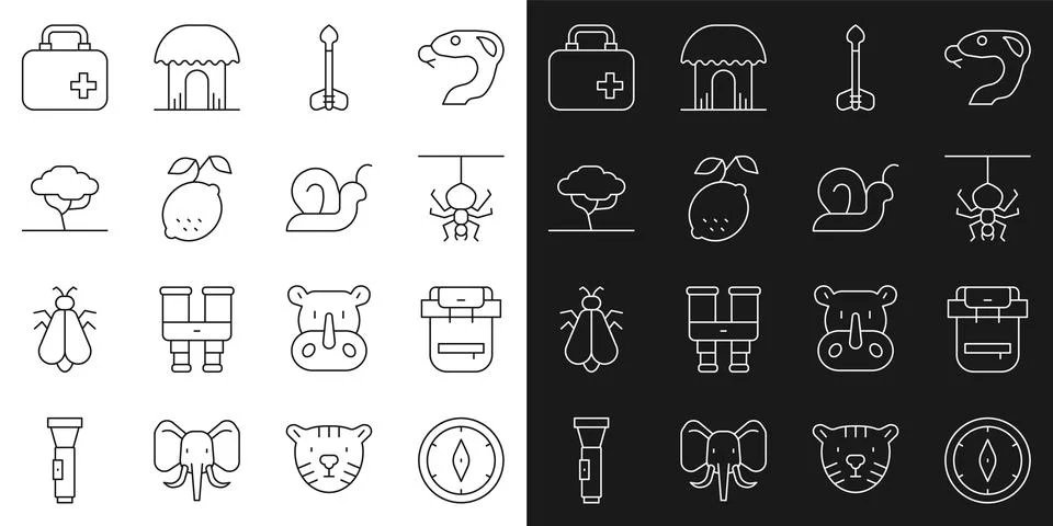 Set line Compass, Hiking backpack, Spider, Arrow, Lemon, African tree, First aid イラスト素材