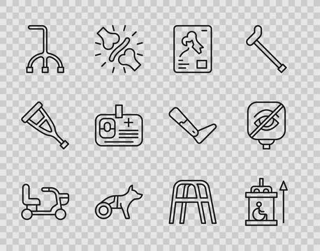Set line Electric wheelchair, Elevator for disabled, X-ray shots, Dog in 库存插图