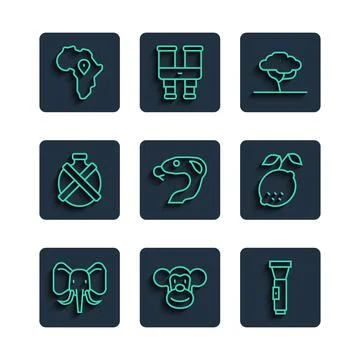 Set line Elephant, Monkey, Flashlight, African tree, Snake, Canteen water bottle Stock Illustration