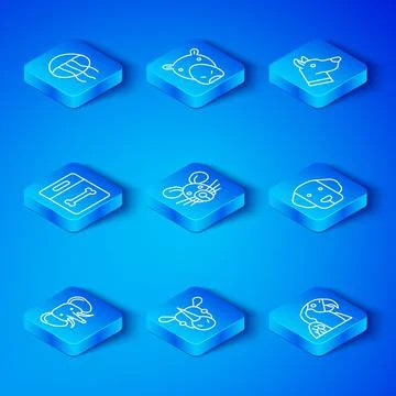 Set line Elephant, Rat head, Rhinoceros, Dog, bone, Jellyfish and Macaw parrot Stock Illustration