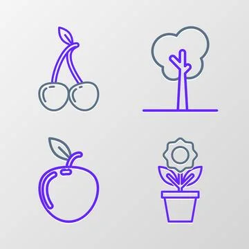 Set line Flower in pot, Apple, Tree and Cherry icon. Vector イラスト素材