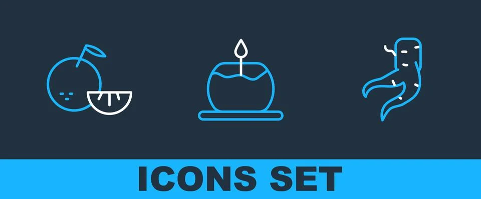 Set line Ginger root, Citrus fruit and Aroma candle icon. Vector Иллюстрация