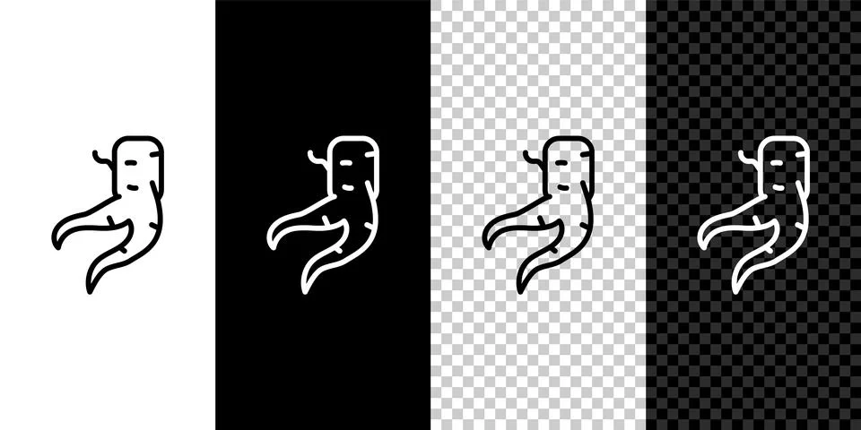 Set line Ginger root icon isolated on black and white background. Vector Иллюстрация