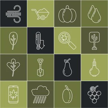 Set line Grape fruit, Onion, Tree, Pumpkin, Meteorology thermometer, Leaf leaves Illustrazione stock