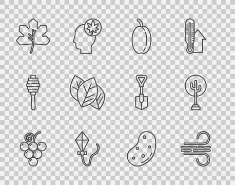 Set line Grape fruit, Wind, Plum, Kite, Leaf or leaves, Potato and Tree ico.. Stock Illustration