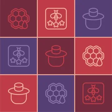 Set line Honeycomb, Beekeeper with protect hat and Type of bee icon. Vector Ilustración de archivo