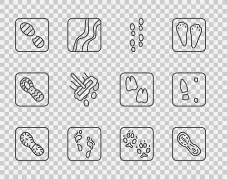 Set line Human footprints shoes, Mop, Fox paw and icon. Vector イラスト素材