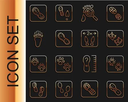 Set line Human footprints shoes, Fox paw, Seagull, Magnifying glass with fo.. Stock Illustration