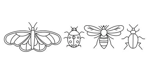 Set line insect Beetle, Butterfly, Bee, Ladybug Stock Illustration