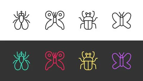Set line Insect fly, Butterfly, Stink bug and on black and white. Vector 스톡 일러스트