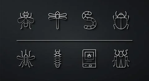 Set line Insect fly, Mosquito, Mite, Book about insect, Centipede, Dragonfly Stock Illustration