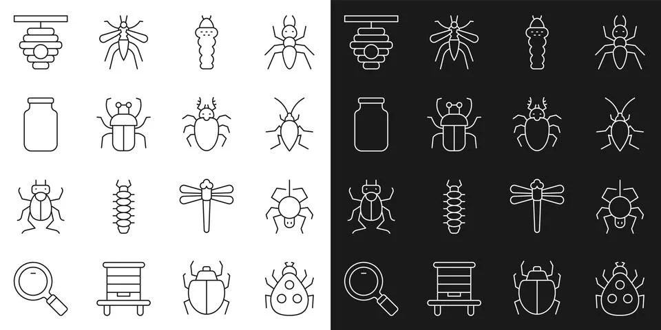 Set line Ladybug, Spider, Cockroach, Larva insect, Stink, Glass jar, Hive for Ilustración de archivo