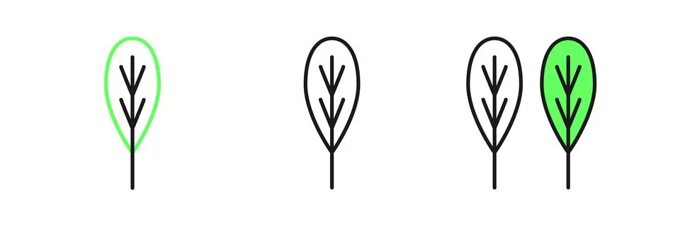 Set line Leaf icon isolated on white background. Leaves sign. Fresh natural.. イラスト素材
