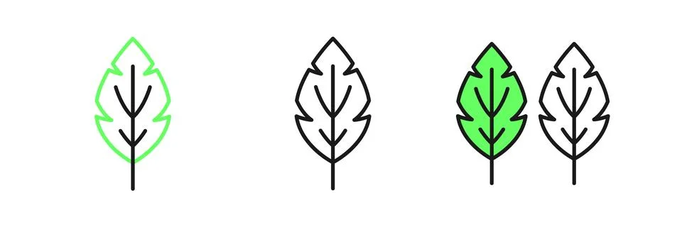 Set line Leaf icon isolated on white background. Leaves sign. Fresh natural.. Stock Illustration