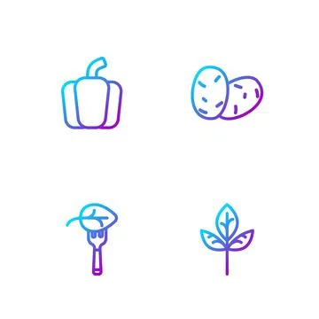 Set line Leaf or leaves, Vegan food diet, Bell pepper and Potato. Gradient color Stock Illustration