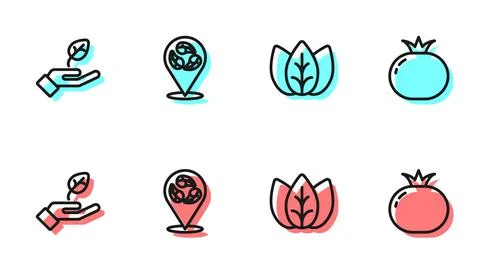 Set line Leaf or leaves, Plant in hand, Vegan food diet and Tomato icon. Vector 스톡 일러스트