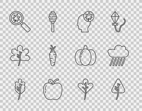 Set line Leaf or leaves, Human head with leaf, Apple, Magnifying glass, Carrot Stock Illustration