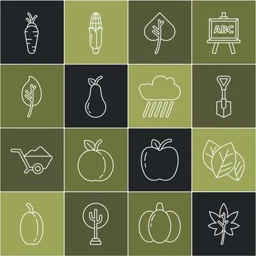 Set line Leaf or leaves, Shovel, Pear, Carrot and Cloud with rain icon. Vector Stock Illustration