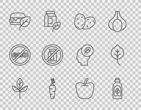 Set line Leaf or leaves, Essential oil bottle, Potato, Carrot, Vegan food diet Stock Illustration