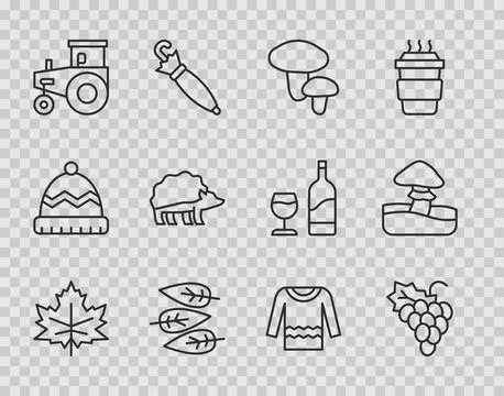 Set line Leaf or leaves, Grape fruit, Mushroom, Tractor, Hedgehog, Sweater and Stock Illustration