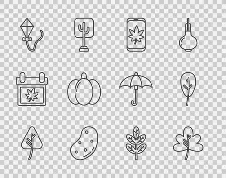 Set line Leaf or leaves, on mobile phone, Potato, Kite, Pumpkin, and icon Stock Illustration
