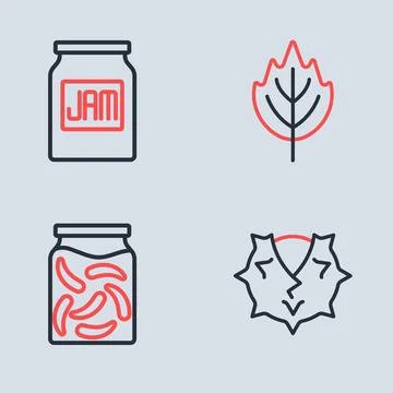 Set line Leaf, Pickled cucumbers in jar, Chestnut and Jam icon. Vector Stock Illustration