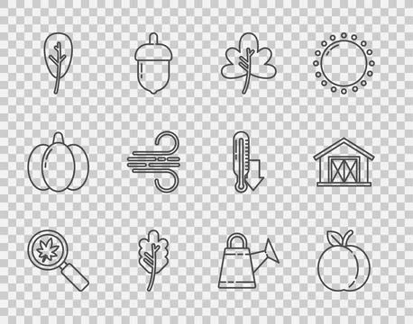 Set line Magnifying glass with leaf, Peach fruit, Leaf or leaves, Wind, Wat.. Stock Illustration