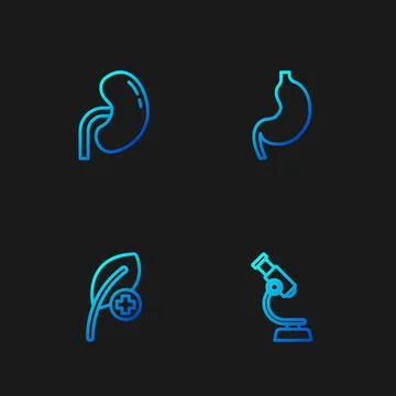 Set line Microscope, Leaf or leaves, Human kidney and stomach. Gradient color Stock Illustration