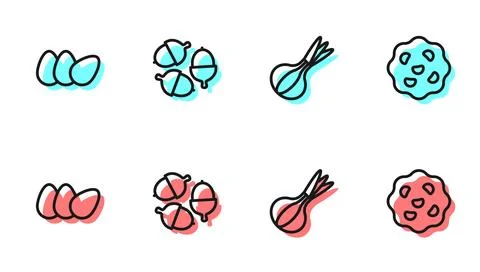 Set line Onion, Chicken egg, Acorn and Cookie biscuit icon. Vector 스톡 일러스트