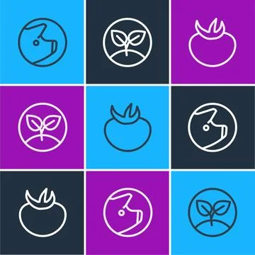 Set line Pig, Tomato and Sprout icon. Vector Stock Illustration