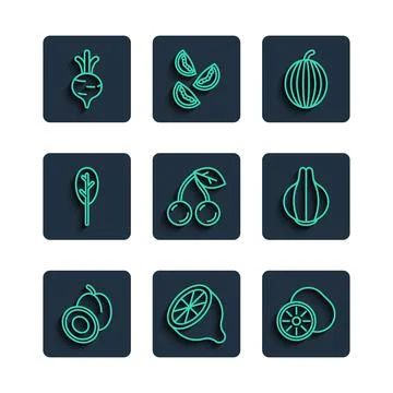 Set line Plum fruit, Lemon, Kiwi, Watermelon, Cherry, Spinach, Beet and Onion Stock Illustration