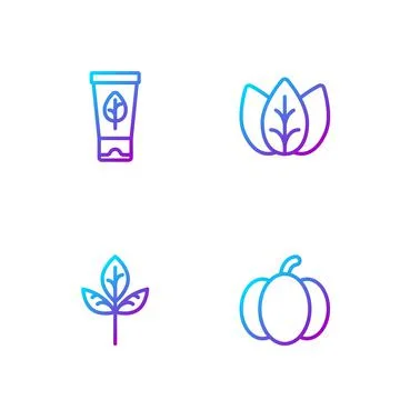 Set line Pumpkin, Leaf or leaves, Organic cosmetic and . Gradient color icons Illustrazione stock