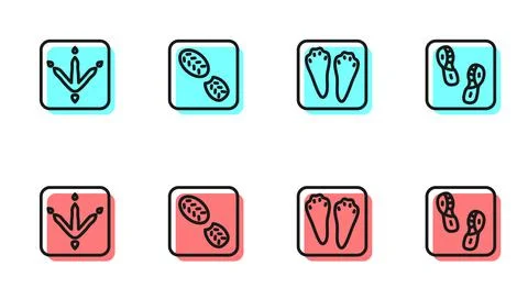 Set line Rabbit and hare paw footprint, Chicken, Human footprints shoes and icon Stock Illustration