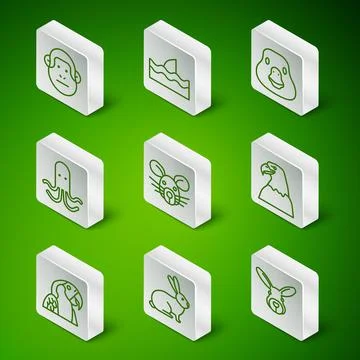 Set line Rabbit head, Monkey, Rat, Octopus, Shark fin in ocean wave, Macaw 스톡 일러스트