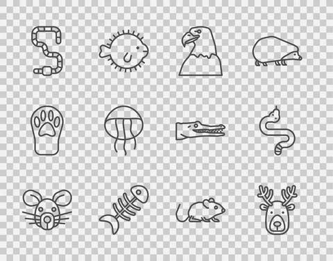Set line Rat head, Deer with antlers, Eagle, Fish skeleton, Worm, Jellyfish, and Stock Illustration