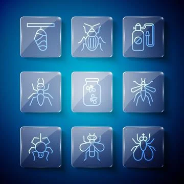 Set line Spider, Insect fly, Pressure sprayer, Fireflies bugs in jar, Ant Stock Illustration