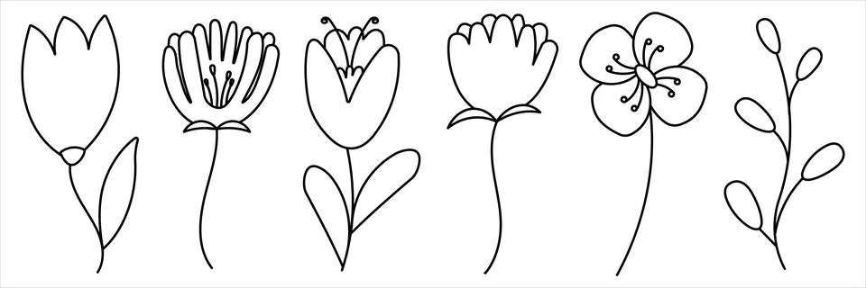 Set line Spring Flowers elements plants garden Stock Illustration