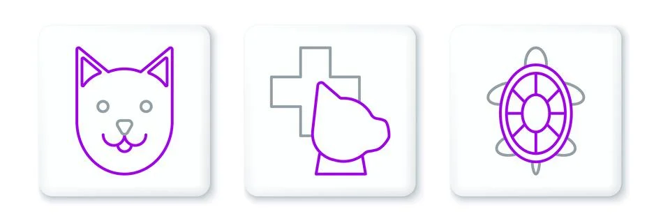 Set line Turtle, Cat and Veterinary clinic symbol icon. Vector Stock Illustration