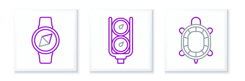 Set line Turtle, Compass and Gauge scale icon. Vector Stock Illustration
