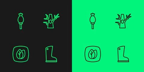 Set line Waterproof rubber boot, Leaf, Opium poppy and Bare tree icon. Vector Stock Illustration