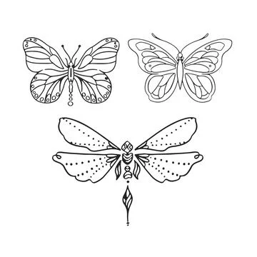 Set of linear butterflies monochrome vector illustration Stock Illustration