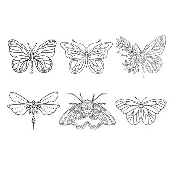 Set of linear butterflies monochrome vector illustration Stock Illustration